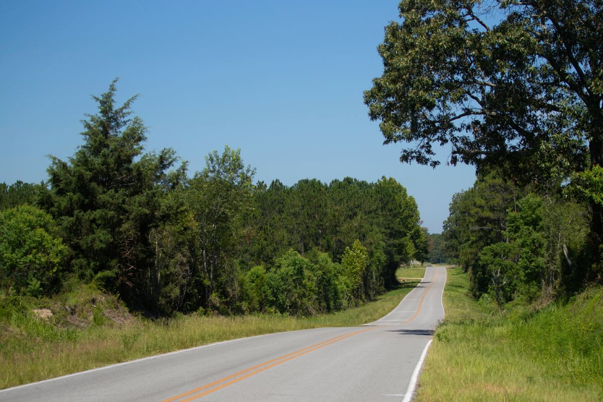 Open Road Surrounded by Trees in Paxton, Florida