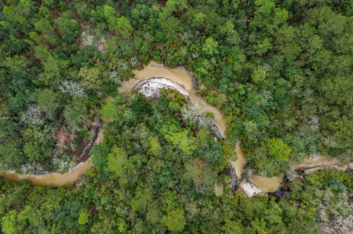 Shoal River Headwaters State Park Logo