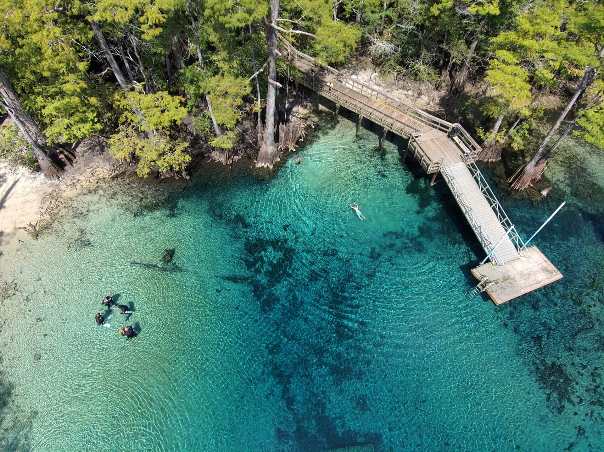 Morrison Springs